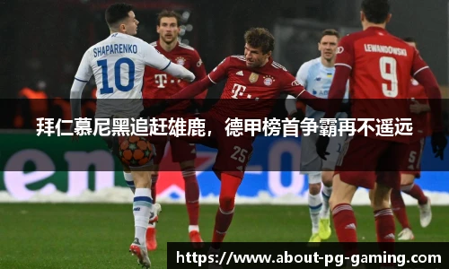 PG模拟器