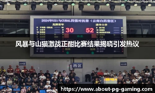 风暴与山猫激战正酣比赛结果揭晓引发热议